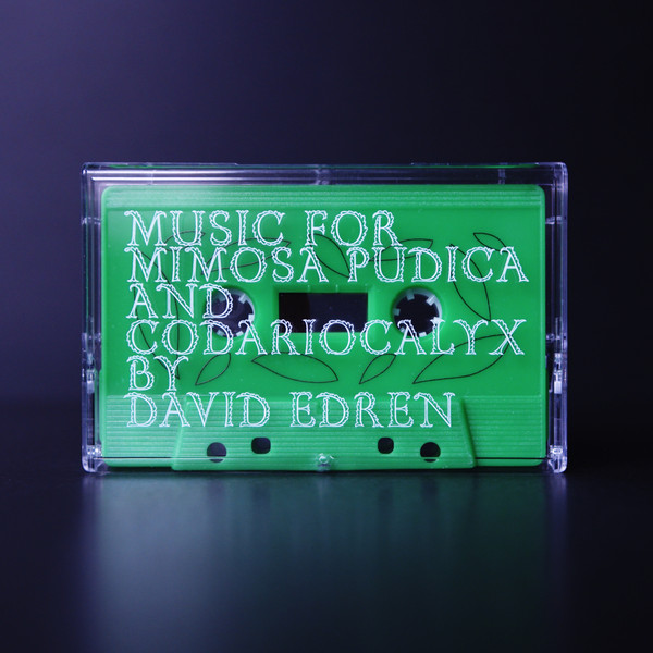 Music For Mimosa Pudica & Codariocalyx