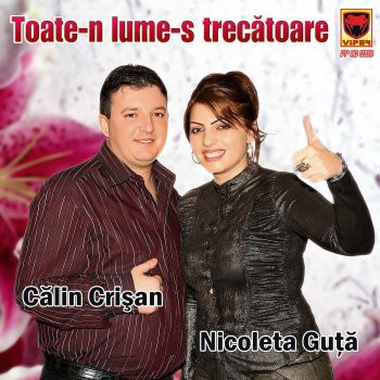 Toate-N Lume-S Trecătoare