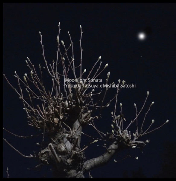Moonlight Sonata