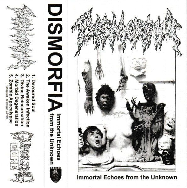 Immortal Echoes From The Unknown 