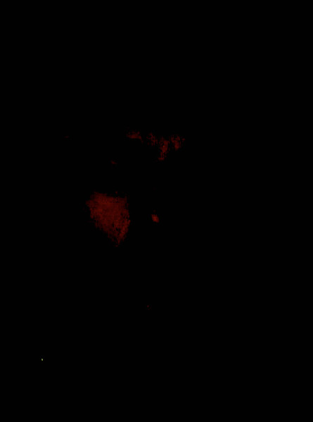 B​/​jlyc 