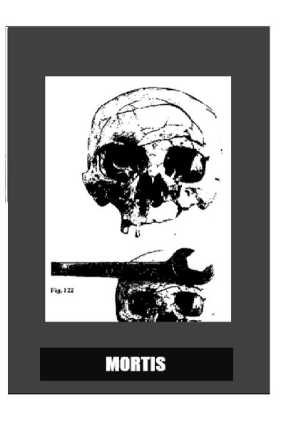 Mortis