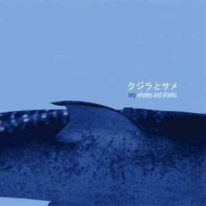 Whales And Sharks