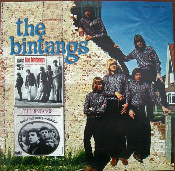 The Bintangs