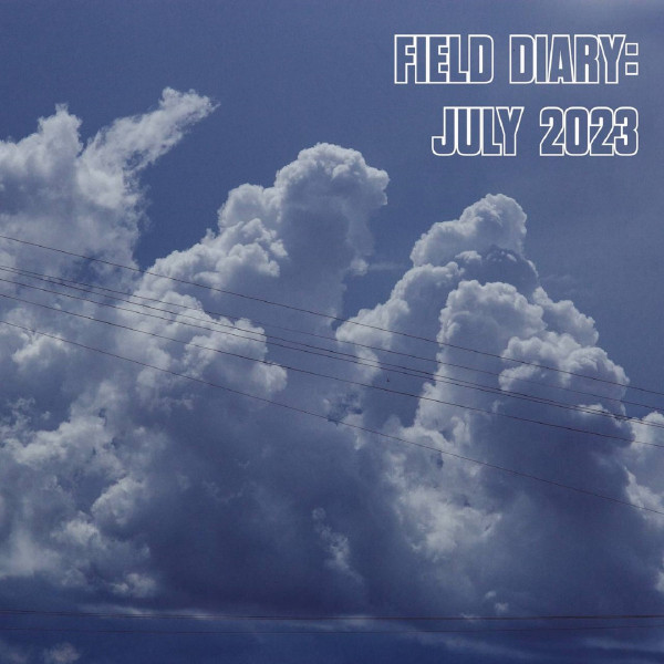 Field Diary: July 2023
