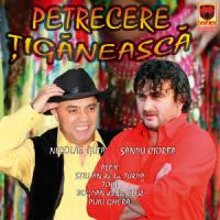 Petrecere Țigănească