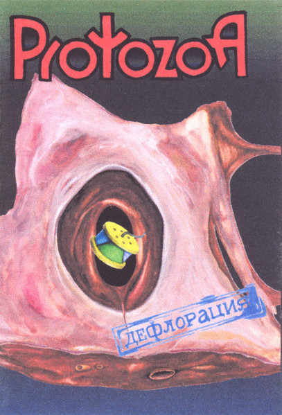 Дефлорация