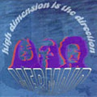 High Dimension Is The Direction