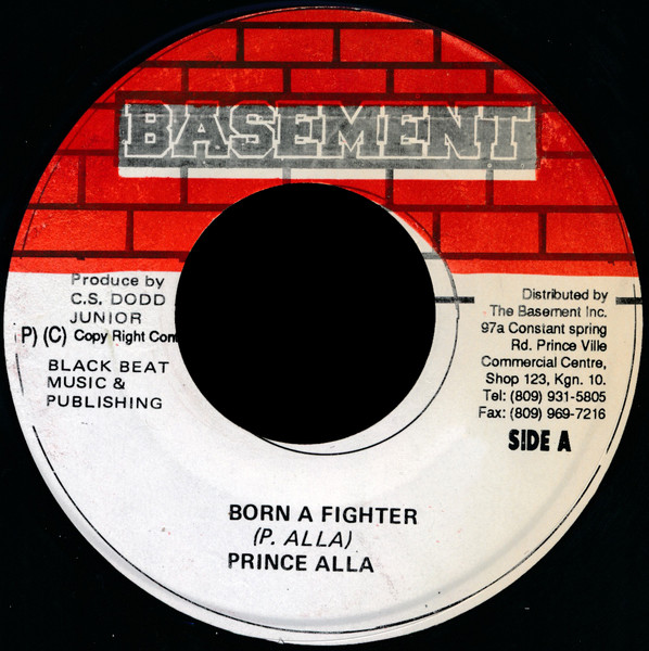 Born A Fighter