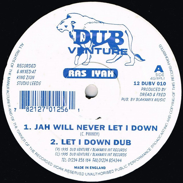 Jah Will Never Let I Down / Earth Rocker