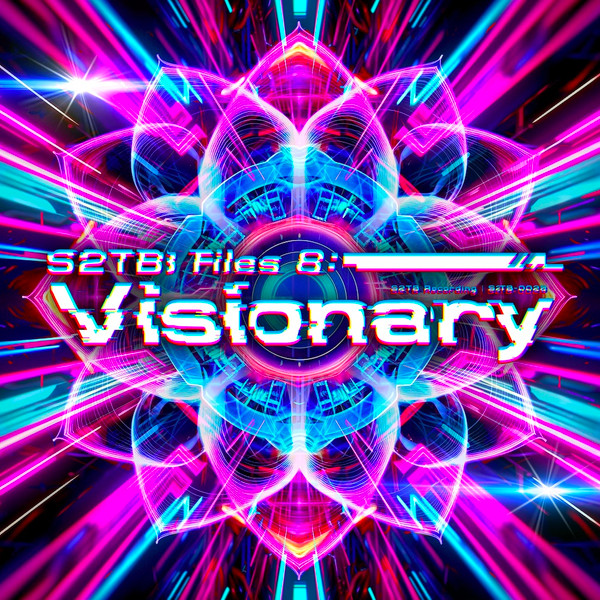 S2TB Files 8: Visionary
