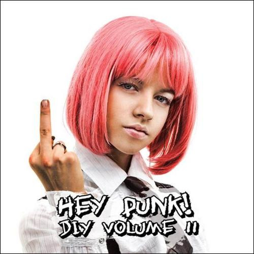 Hey Punk! DIY Volume II