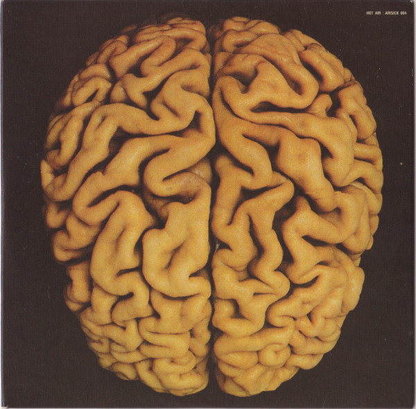 Brain Salad Surgery
