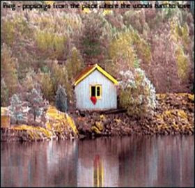 Popsongs From The Place Where The Woods Turn To Love