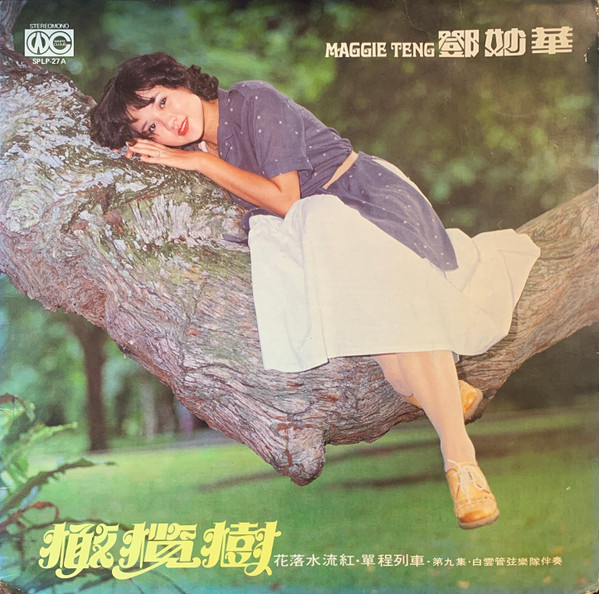 橄欖樹