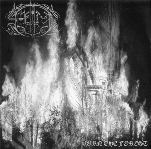 Burn The Forest