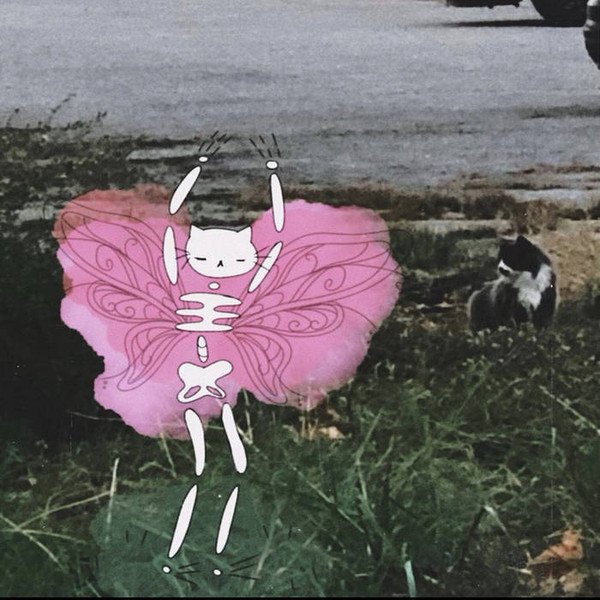 Songs For Bugs