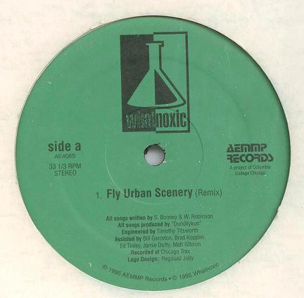 Fly Urban Scenery / New Design