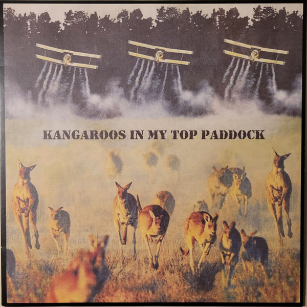 Kangaroos In My Top Paddock