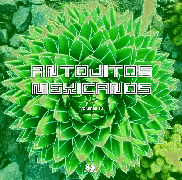 Antojitos Mexicanos Volumen 10