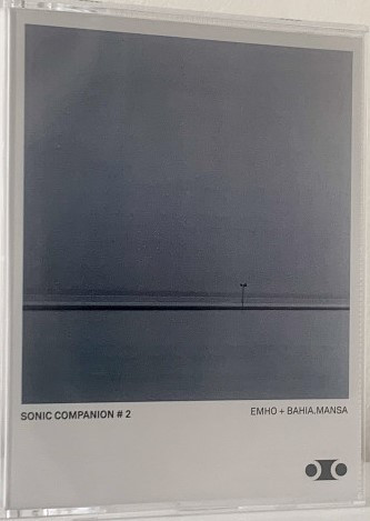 Sonic Companion 1