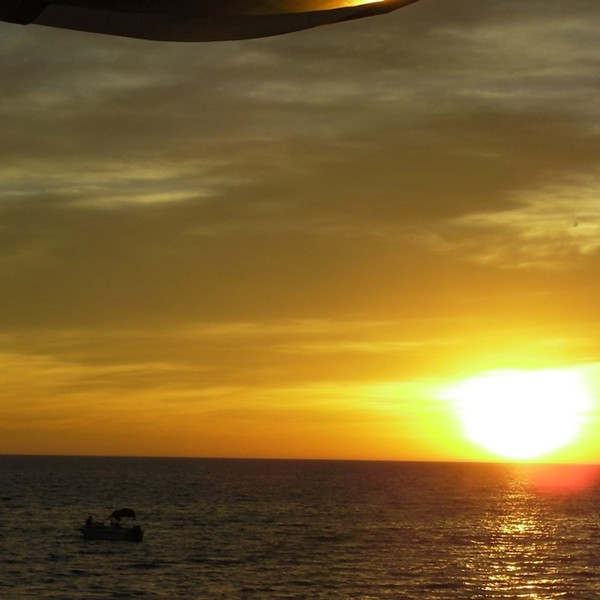 Endless Summer Nite