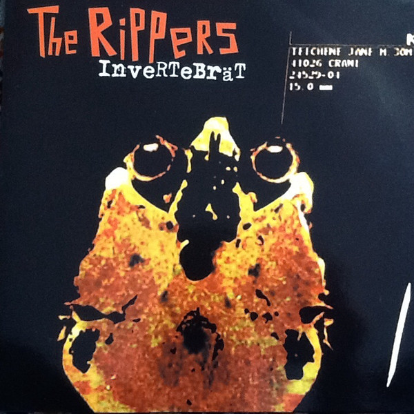 Invertebrät