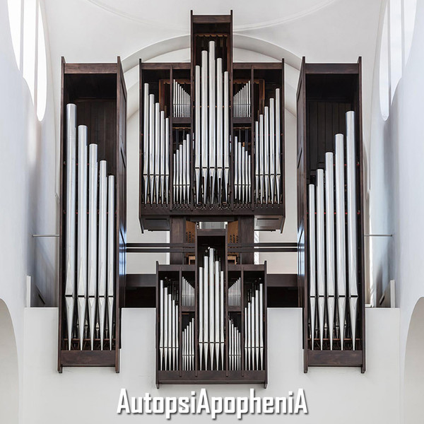  AutopsiApophenia