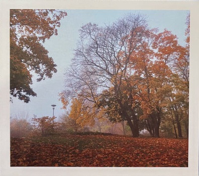 Södermalm In Autumn
