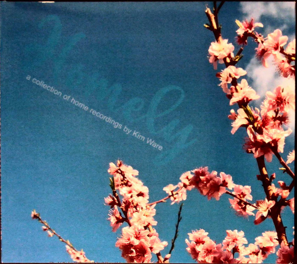 Homely (A Collection Of Home Recordings)