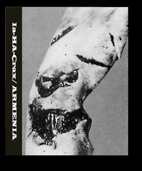 Decomposing Souls (split ARMENIA)