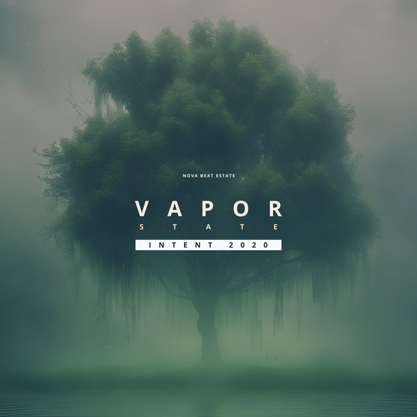 INTENT 2020: Vapor State