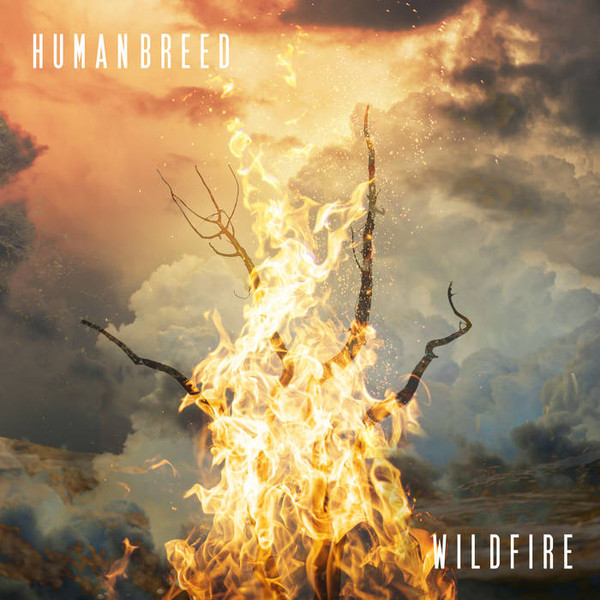Wildfire