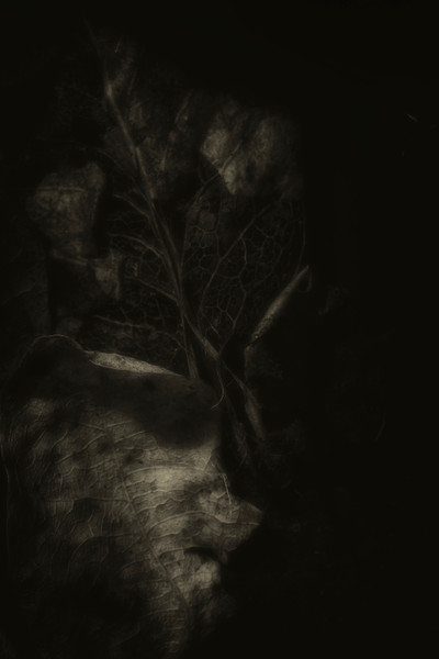 Patterns Of Loss