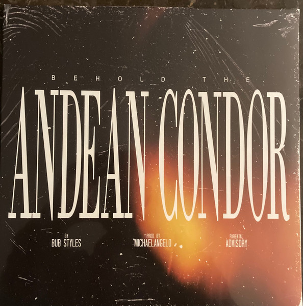 Behold The Andean Condor 