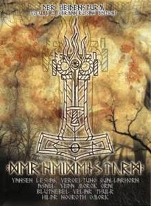 Der Heidensturm Volume 2 (German-Russian Edition)