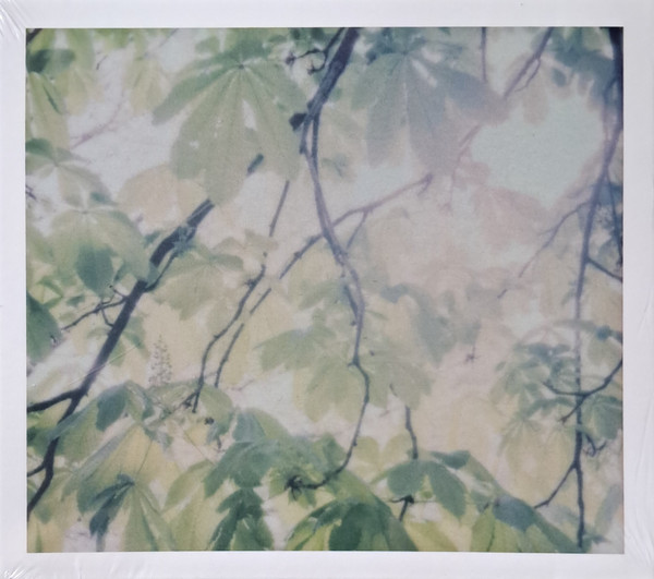 Floral Forms And Subsequent Interactions