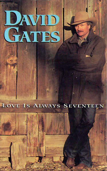Love Is Always Seventeen