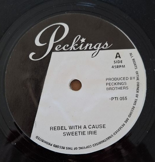 Rebel With A Cause/ Soul Rebel