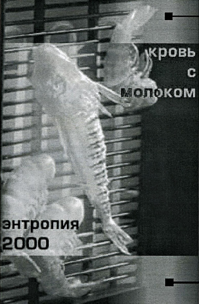 Энтропия 2000
