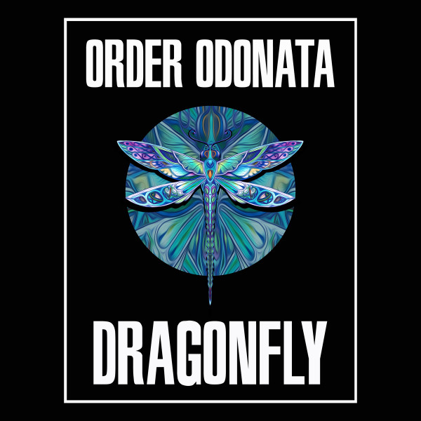 Order Odonata - Beyond The Looking Glass