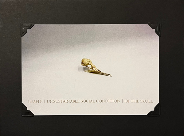 The Box Set