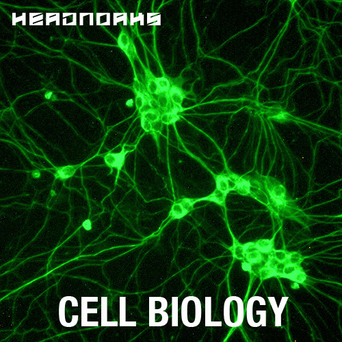 Cell Biology