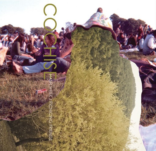 Hash Week / Picnicing Friends