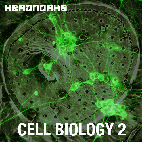 Cell Biology 2