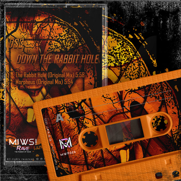 Down The Rabbit Hole