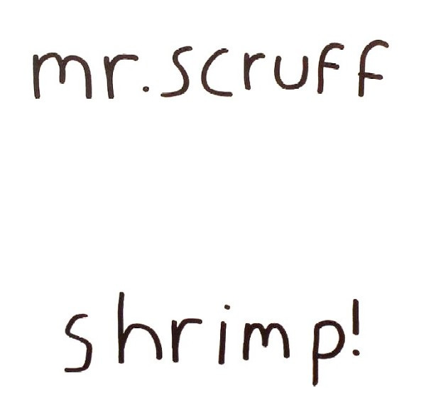 Shrimp!