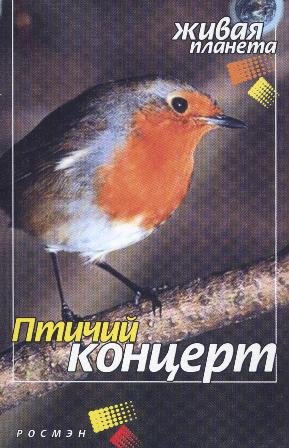 Птичий Концерт