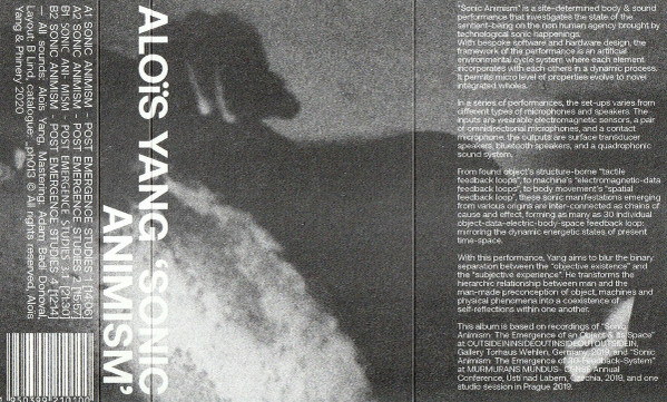 Sonic Animism