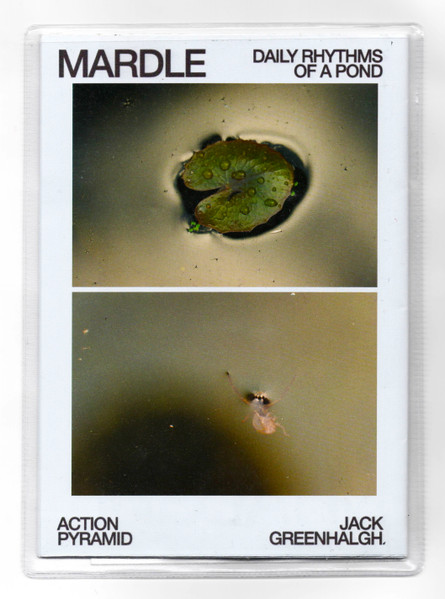 Mardle: Daily Rhythms Of A Pond